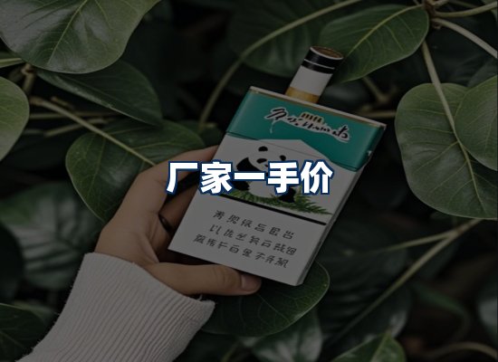 专业团队办公环境